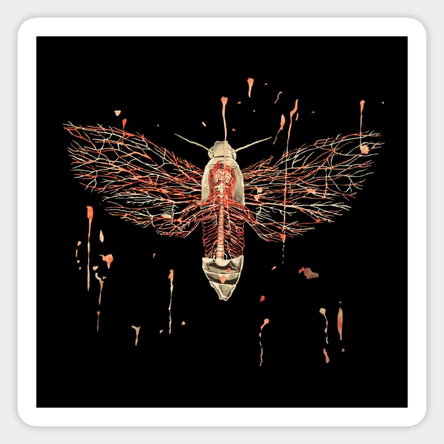 Anatomical Death's Head Hawk Moth Sticker by RaLiz
